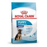 Royal Canin Shn Maxi Puppy 4 Kg