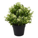 Planta Milán Artificial Macetero Decoración Hogar 23cm