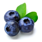  Frete Grátis Blueberry Mirtilo Anão - Sementes De Frutas 