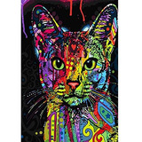 Pintura Diamante 5d Diy Animal Por Números, Gato Color...