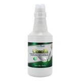 Clorofila Líquida Sabor Menta Naturalhealth 500ml