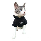 Roupa Pet De Luxo Cachorro Gato Grife Channel York Shire 