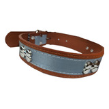 Collar Reflectivo Huesos Para Perros Medianos Y Grandes 