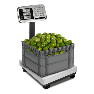 Báscula Plataforma 80kg Rhino Modelo Bp-80 Rbanda Gris | Meses sin interés
