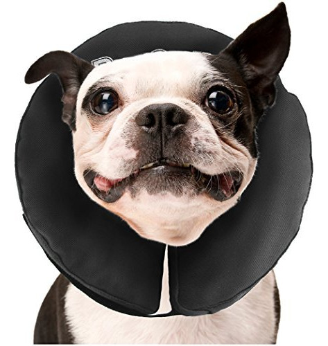 Collar Protector De Recuperación Inflable Zenpet Para Perro