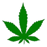 Adesivo Folha Maconh Cannabis Marijuana  Kit Com 8 