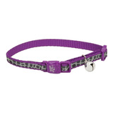 Coastal Collar Lazer Brite Para Gatos