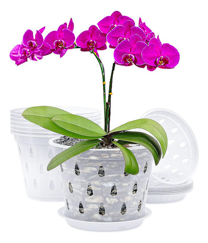 Kit De 5 Macetas Rígidas Transparentes - Orquídeas