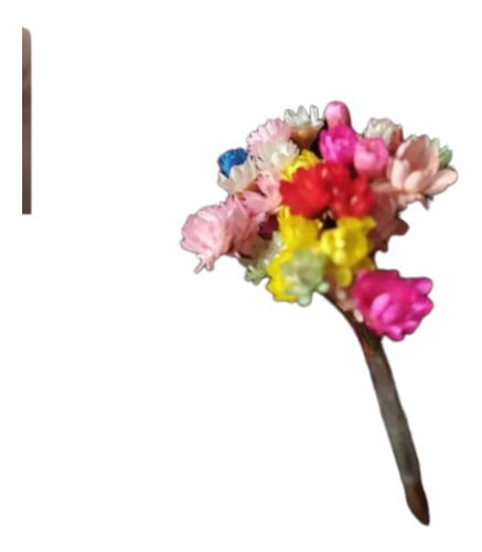 Flores Secas Inclusiones  Joyeria Resina Epoxi Mini X25