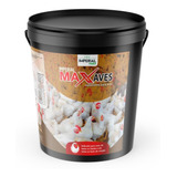 Pintinho Crescimento Galinha Poedeira Postura Max Aves 40kg