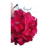 Planta Rosa Deserto Id. Red Clara Buquet + Brindes Sementes