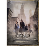 Póster Original Cine Animales Fantásticos Versión 1 