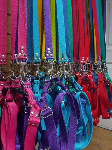 20 Pretales Y Correas Para Perros Grandes Mayorista Pet Shop