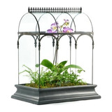 Terrario Gran Vidrio Suculento De Planter Wardian Envase