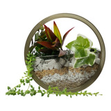 Vaso Decorativo Redondo 20cm - Com Plantas/decoração