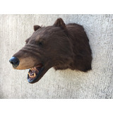 Animales Disecados 100% Artificiales Oso Grizly(grizzly Bear