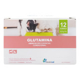 Glutamina Aminoacido Esencial Condicional 12 Sobres 12.5 Grs