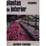 Plantas De Interior Tiscornia 
