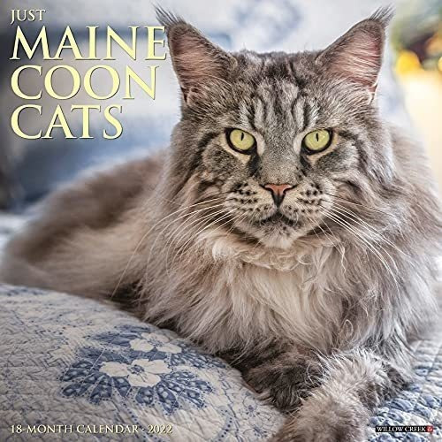 Just Maine Coon Cats 2022 Wall Calendar (cat Breed) 