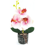 Hrrive - Planta De Orquídea Artificial Rosa Y Blanca