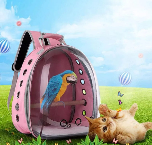 Bolso Transportador Guacal Para Mascotas Envío Gratis !!