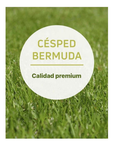 Cesped Bermuda En Panes+envío  Hacemos Nivelado Y Colocado