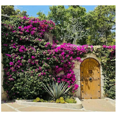 Hermosa Finca Rodeada De Naturaleza