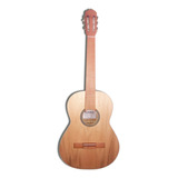 Guitarra Castellon Acustica Modelo Calafquen