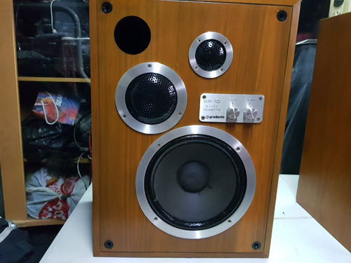 Bafles Gradiente Gr-10 Calidad De Audio, Potencia Pura 