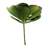 Suculenta Artif. Flor Verde 6unid. 11x11x12cm