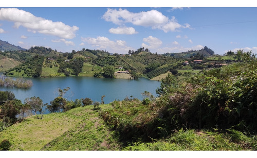 Lote La Zulia, El Peñol - Imagen 4