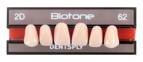 Dentes Para Próteses Biotone Tamanho 2d Cor 62 Dentsply