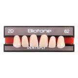 Dentes Para Próteses Biotone Tamanho 2d Cor 62 Dentsply