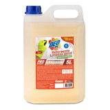 Detergente Super Concentrado Galão 5l P/ Cozinha Industrial