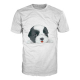 Camiseta Animalista Perros Gatos Peces Mascotas Dog Cat 45