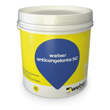 Weber Acelerante Anticongelante Sin Cloruro X 6 Kg