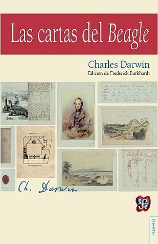 Las Cartas Del Beagle - Charles Darwin - - Original