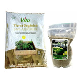 Semilla De Pasto Sol Y Sombra 1kg + Tierra Orgánica Vita 5kg