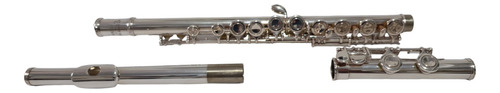 Flauta Transversal Eagle Fl03s Prateada Em Dó Com Case Usada