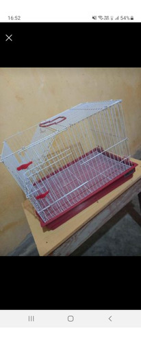 Gaiola Pet Para Porquinhos Da Índia/ Hamster 