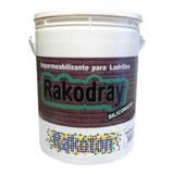 Impermeabilizante Para Ladrillos Siliconado Rakodray X 10 Lt