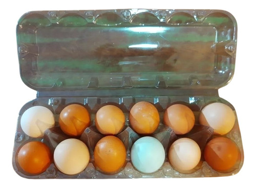 500 Embalagens - Bandeja Para 12 Ovos De Galinha 