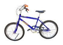Bicicleta De Niño/niña Rodado 20