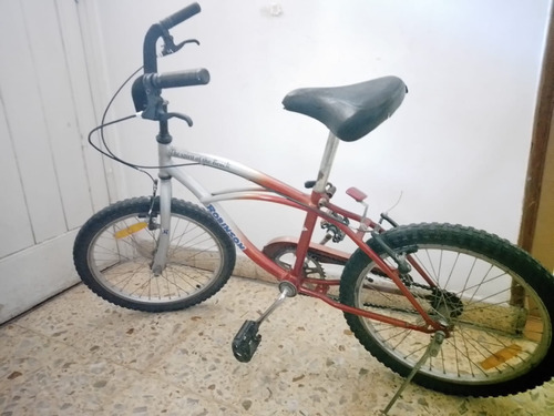 Bicicleta Robinson Niño Rodado 24