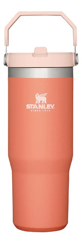 Botella Termo Stanley Classic Flip Straw Tumbler 900ml
