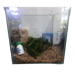 Kit Pecera Cubo 30cm Completo. Acuario Aquariumba. 