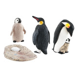 De Ciclo De Crescimento De Pinguim Modelo De Animal