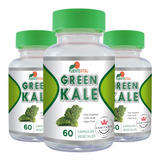 Kale + Café Verde + Alga Focus - Digestivo Control Peso