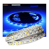 Tira Led Azul 5050 12v Ip20 Para Autos Casas Oficina Bar