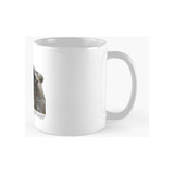 Taza Despierto Pero A Que Costo Mapache Calidad Premium